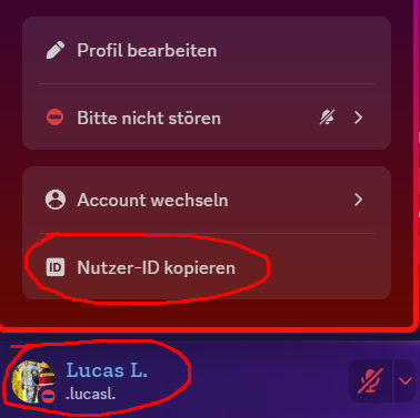 Discord ID Erklärung